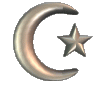 cresent moon with star